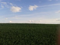 /album/kepek/a2012-05-06-17-56-57-jpg/
